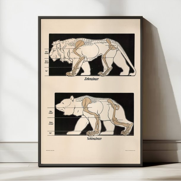 Sl- og tgngere 1907 - Anskuelsesbillede