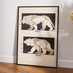 Sl- og tgngere 1907 - Anskuelsesbillede