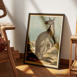 Knguru 1910 - Anskuelsesbillede