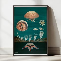 Gopler 1961 - Anskuelsesbillede