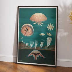 Gopler 1961 - Anskuelsesbillede