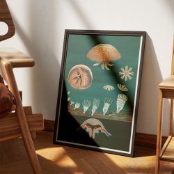 Gopler 1961 - Anskuelsesbillede