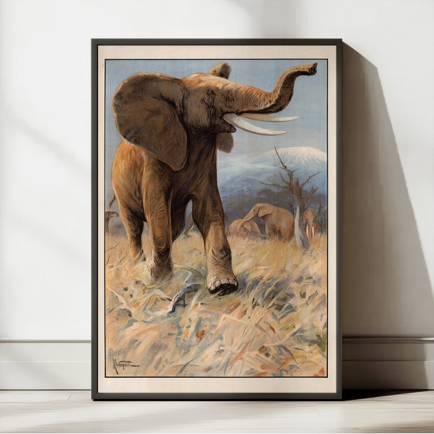 Elefant 1910 - Anskuelsesbillede