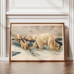 Isbjrn 1910 - Anskuelsesbillede