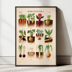 Kkkenurter 1936 - Anskuelsesbillede