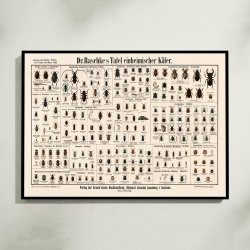 Biller 1910 - Anskuelsesbillede