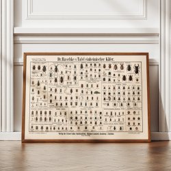 Biller 1910 - Anskuelsesbillede