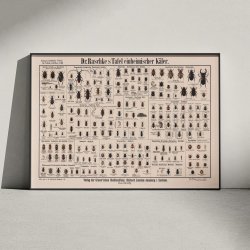 Biller 1910 - Anskuelsesbillede