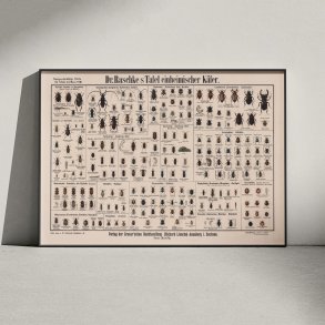 Biller 1910 - Anskuelsesbillede