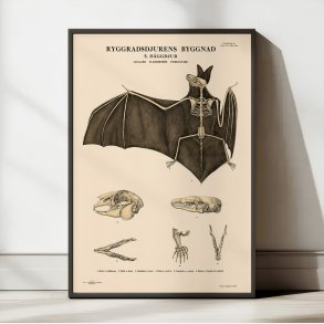 Gnavere og flagermus 1946 - Anskuelsesbillede