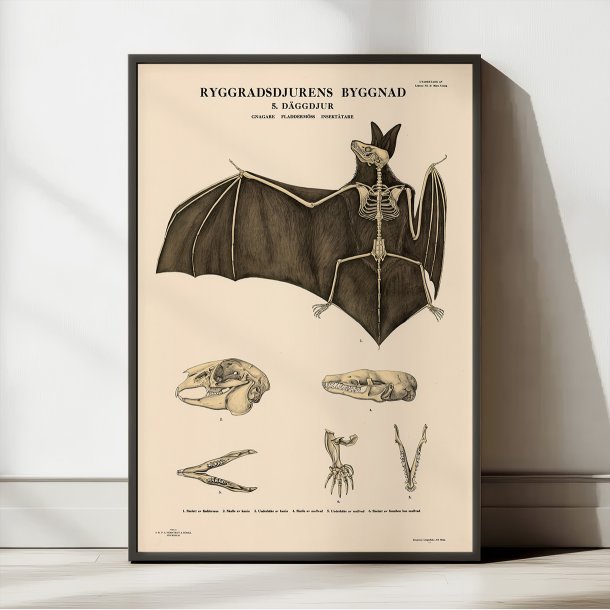 Gnavere og flagermus 1946 - Anskuelsesbillede