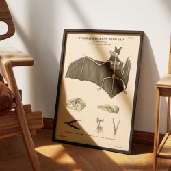 Gnavere og flagermus 1946 - Anskuelsesbillede