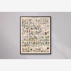 Botanisk gitter 1836 - Anskuelsesbillede