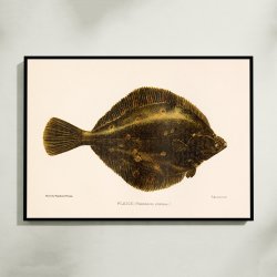 Rdsptte 1904 - Naturhistorisk tavle