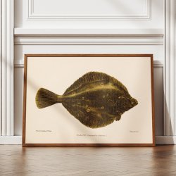 Rdsptte 1904 - Naturhistorisk tavle