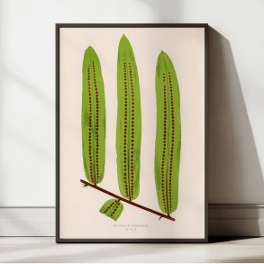 Bregner 1856 - Botanisk plakat