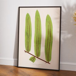 Bregner 1856 - Botanisk plakat