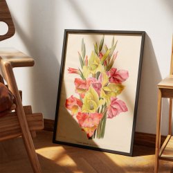 Gladiolus 1900-tallet - Botanisk plakat
