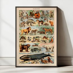 Millot: Le Larousse pour tous - Illustrationer