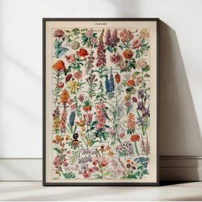 Millot: Fleurs - Le Larousse pour tous