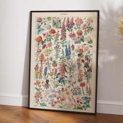 Millot: Fleurs - Le Larousse pour tous