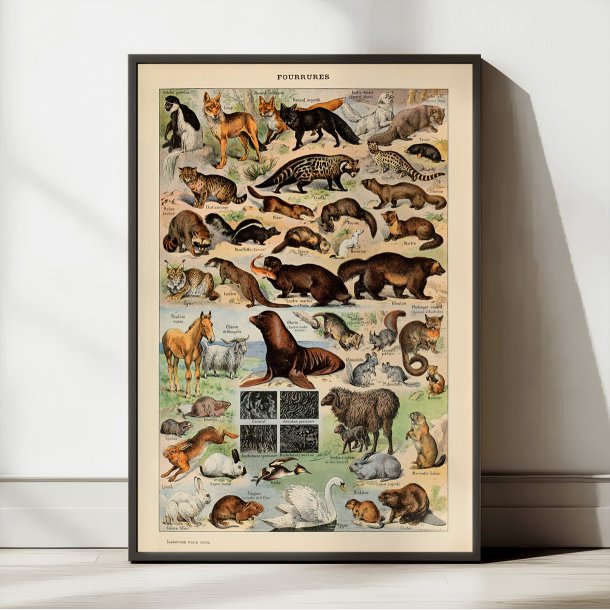 Millot: Fourrures - Le Larousse pour tous