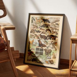 Millot: Fourrures - Le Larousse pour tous