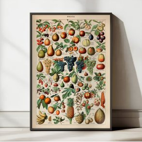 Millot: Fruits - Le Larousse pour tous