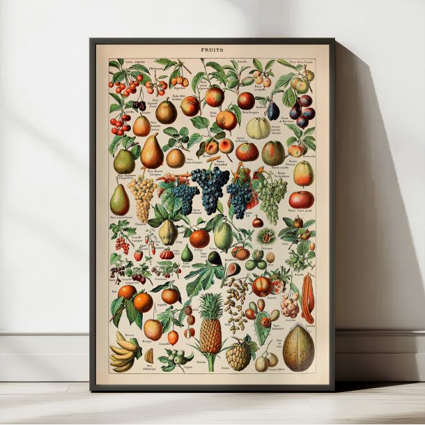 Millot: Fruits - Le Larousse pour tous