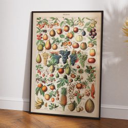 Millot: Fruits - Le Larousse pour tous