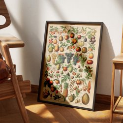 Millot: Fruits - Le Larousse pour tous