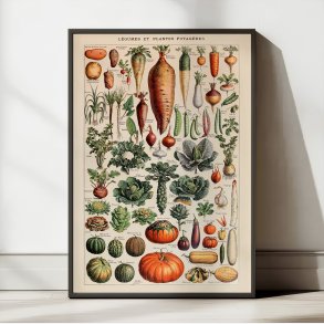 Millot: Legumes et plantes potageres - Le Larousse pour tous