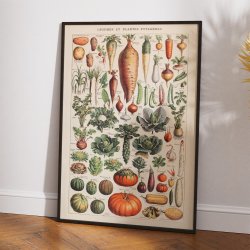 Millot: Legumes et plantes potageres - Le Larousse pour tous