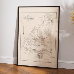 Skive &amp; Reesen Sogne 1860-80 - Matrikelkort