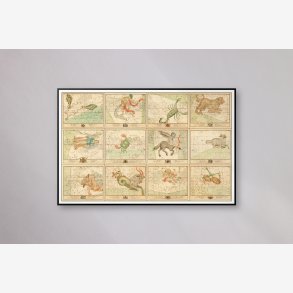 Zodiakens stjernekort - Samlet tavle