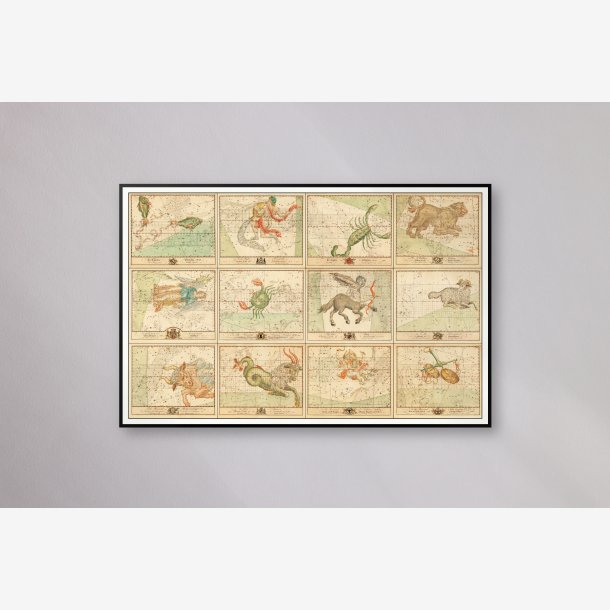 Zodiakens stjernekort - Samlet tavle