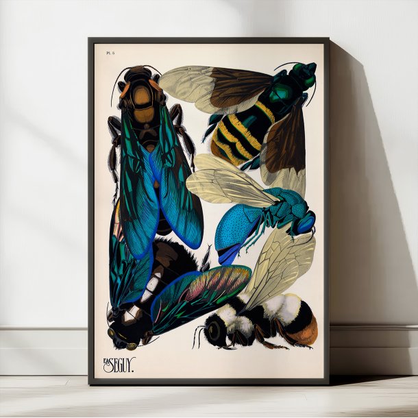 Hvepse - Insektplakat 5