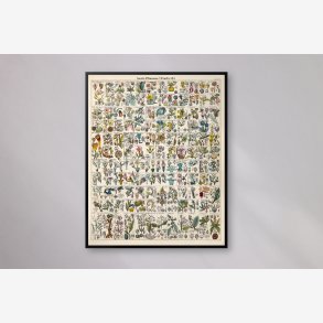 Bladplanter 1846 - Botanisk tavle