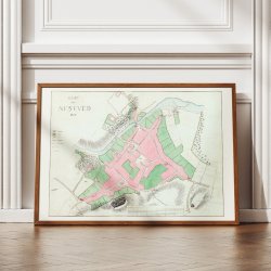 N�stved Konsumtionsgr�nse 1860 - Bykort