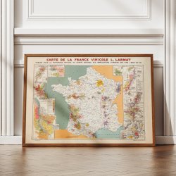 France Vinicole 1945 - Vinkort