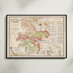 Champagne Vinicole 1884 - Vinkort