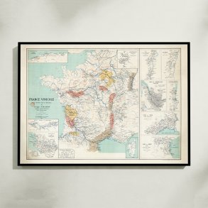 France Vinicole 1924 - Vinkort