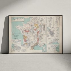 France Vinicole 1924 - Vinkort