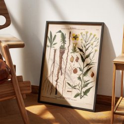 XLIII. Takkeklap 1913 - Botanisk anskuelsesbillede