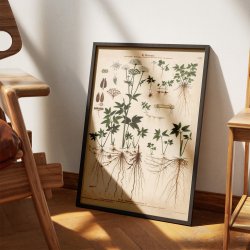 XXIII. Skvalderk�l 1913 - Botanisk anskuelsesbillede