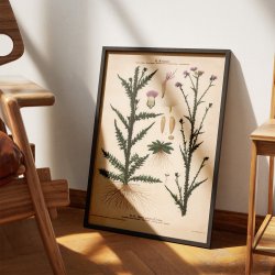 XLI. K�rbladhoved 1913 - Botanisk anskuelsesbillede