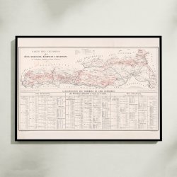 Carte des vignobles des c�tes Beaujolaises 1869 - Vinkort