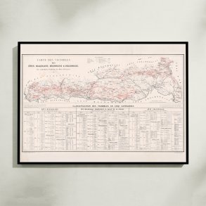 Carte des vignobles des c�tes Beaujolaises 1869 - Vinkort