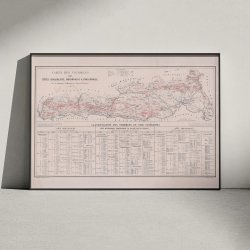 Carte des vignobles des c�tes Beaujolaises 1869 - Vinkort