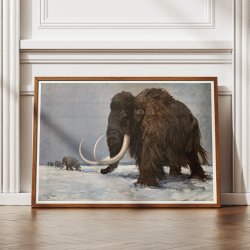 Mammut - Fortidsdyr 1935 - Videnskabelig tavle